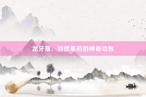 龙牙草:自然草药的神奇功效