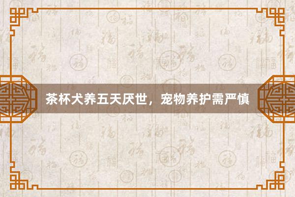 茶杯犬养五天厌世，宠物养护需严慎